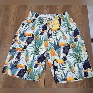 The Image Mens Board/ Swim Shorts